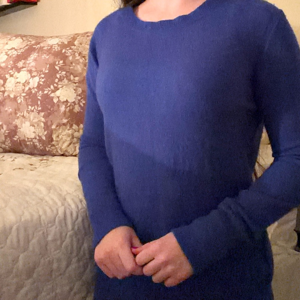 Banana Republic Royal Blue Knit Top
